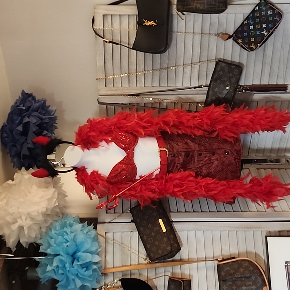 Halloween Devil costume